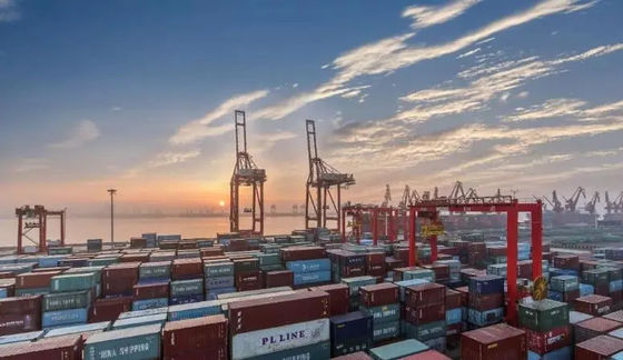 Service chinois de dédouanement de port de Ningbo pour l'agent d'importation d'exportation de LCL