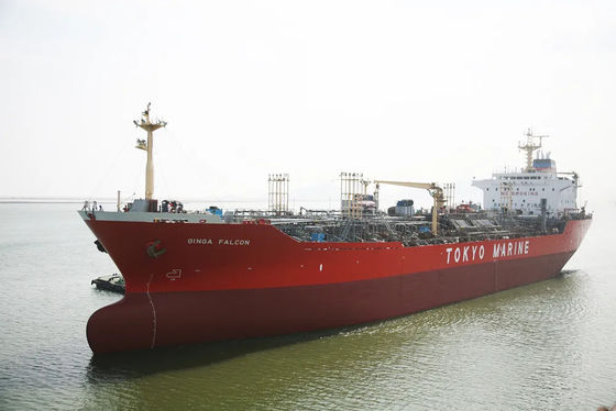 Expédition internationale de mer de cargaison de la Chine d'expéditeur d'importation globale d'exportation