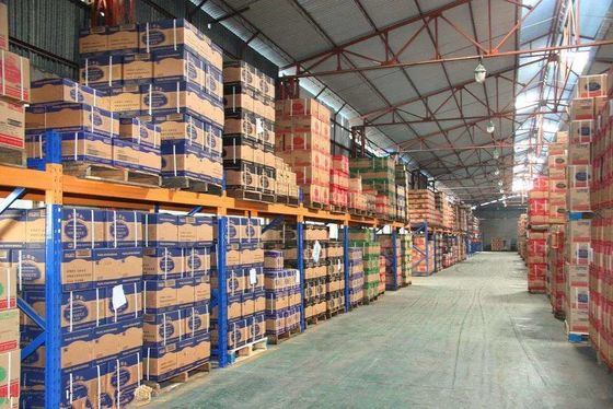 Logistique de port de Changhaï entreposant le transport entreposant le GOUSSET/EXW/CAF