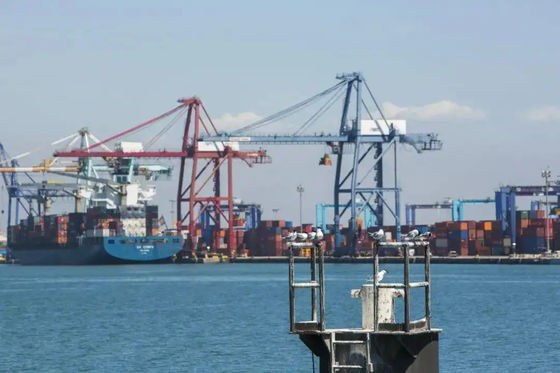 Changhaï Ningbo Tianjin entreposant des services de distribution entreposent des services de stockage