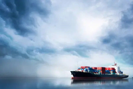 qualité 7x24H entreposant et services de distribution dans le port de Changhaï usine