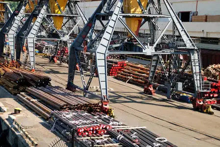 qualité Expéditeurs internationaux Chine de fret maritime de FCL vers Moyen-Orient usine