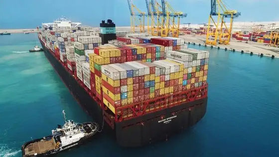 qualité La Chine à l'expédition BRITANNIQUE de conteneur du fret maritime de LCL 20GP 40GP LCL usine