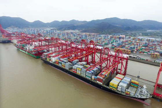 qualité Expéditeur international Chine de fret maritime vers l'Australie usine