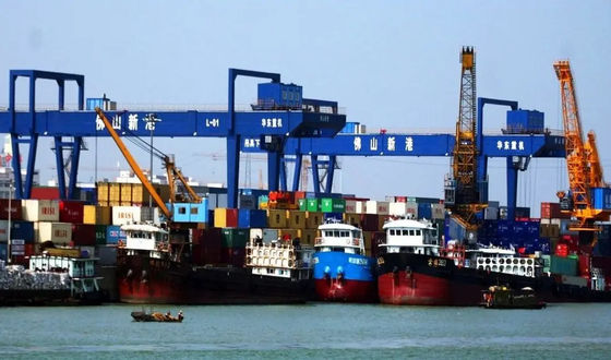qualité Fret logistique global Chine de Changhaï à Jordan Sea Freight Forwarder usine