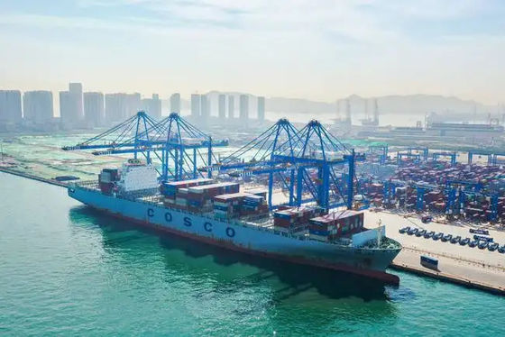 qualité Expéditeur international de fret maritime d'expéditeur de fret maritime de Qingdao de Chine vers le R-U usine