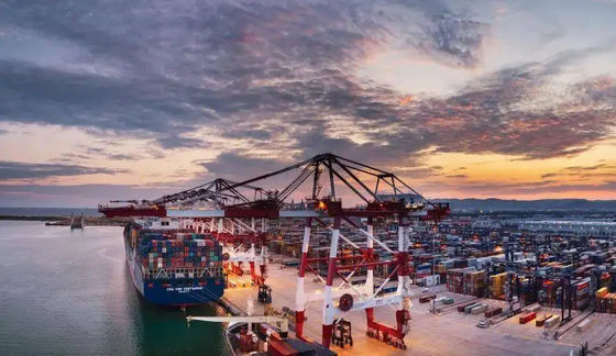 qualité Expéditeur international de fret maritime d'expéditeur de fret maritime de Chine vers le Vietnam usine