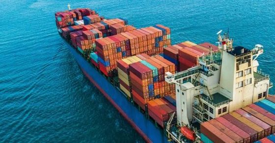 qualité Expéditeur international Shenzhen de cargaison d'océan de FCL à la Karachi usine