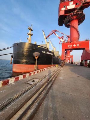 qualité Expéditeur international FOB de fret maritime Lianyungang Xingang vers Singapour usine