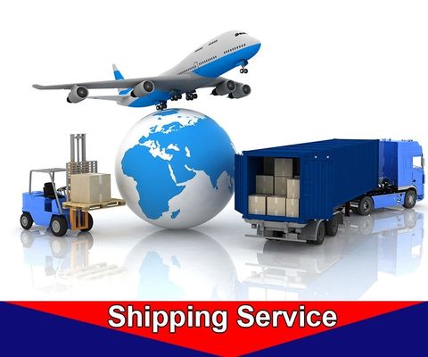 Service professionnel de déclaration en douane pour l'importation et l'exportation des Etats-Unis l'Europe