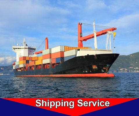 Service porte-à-porte international Shenzhen de fret maritime vers New York